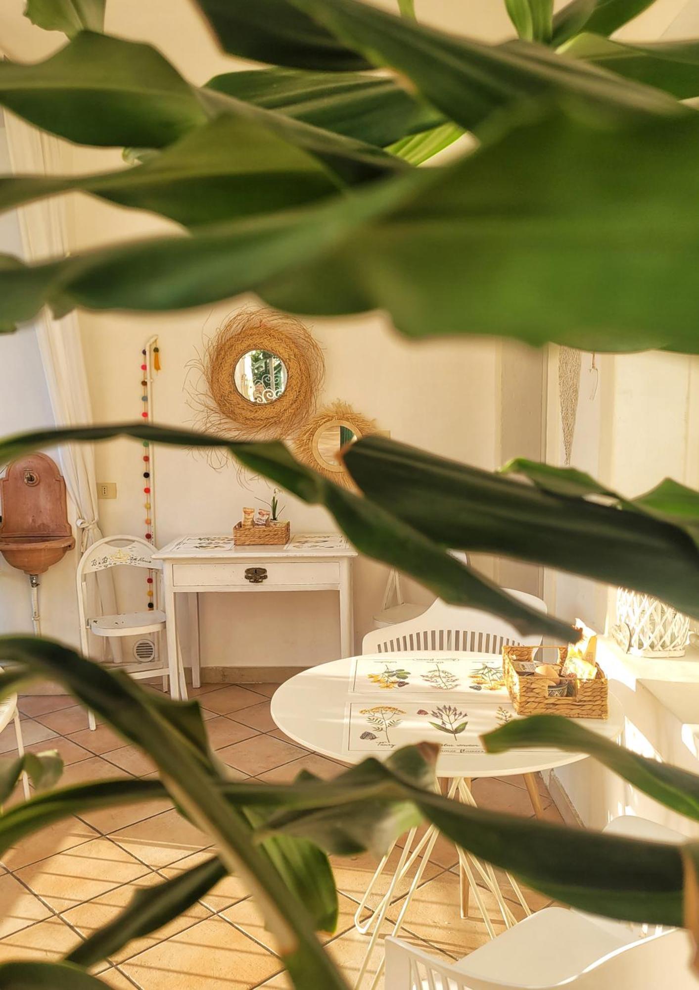 B&B Dal Nonno Ρίβα ντελ Γκάρντα Εξωτερικό φωτογραφία