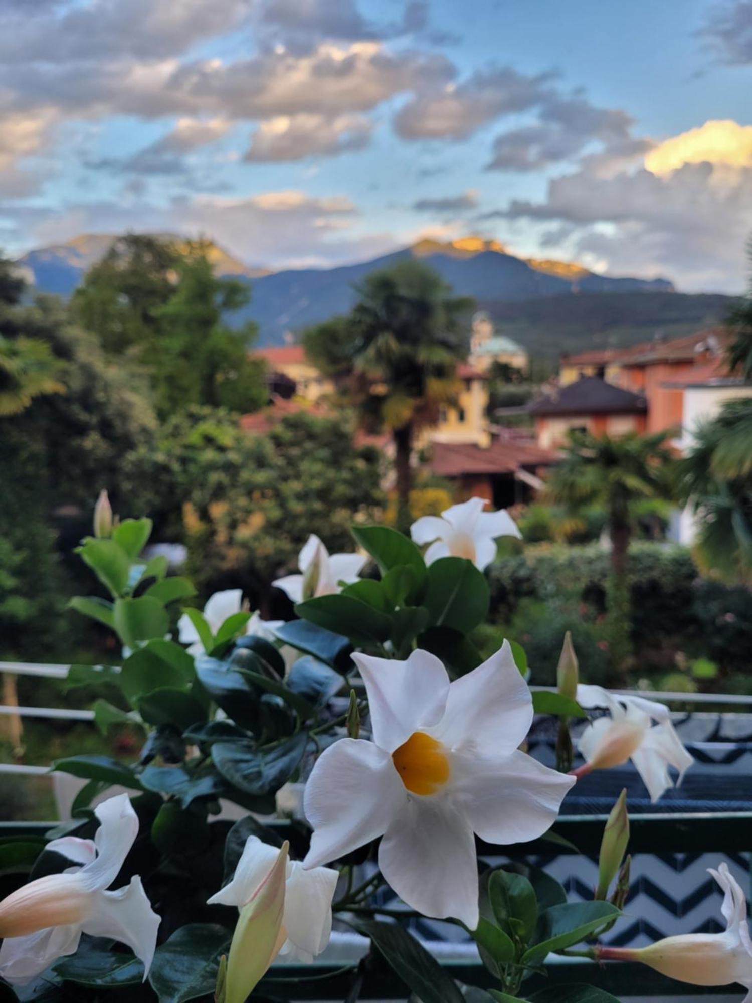 B&B Dal Nonno Ρίβα ντελ Γκάρντα Εξωτερικό φωτογραφία