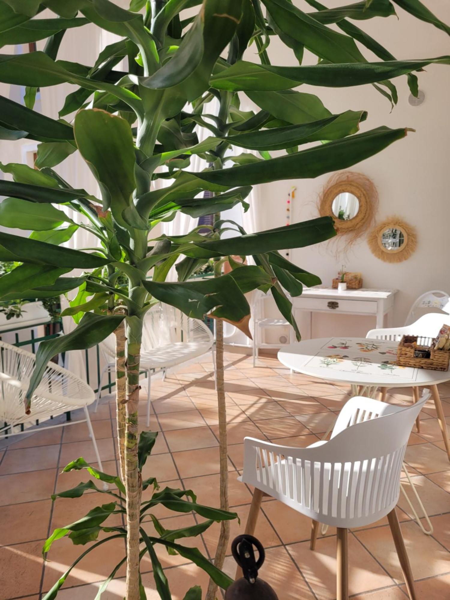 B&B Dal Nonno Ρίβα ντελ Γκάρντα Εξωτερικό φωτογραφία